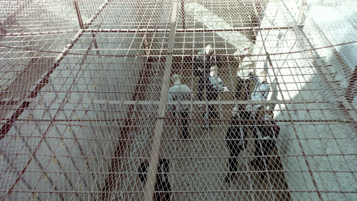 В Сергиевом Посаде в масштабном засоре канализации обвинили заключенных СИЗО