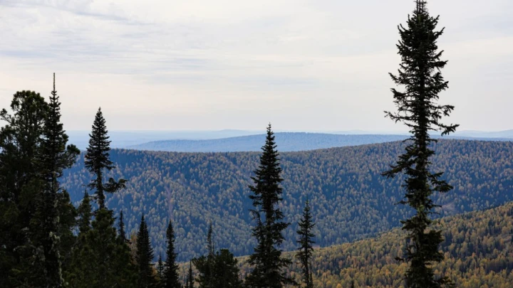 Мы и по сей день считаем: Что произошло с Усольцевыми? Поисковики назвали основную версию