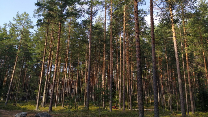 Август придёт с сюрпризами: Метеоролог рассказал о погоде в последний месяц лета
