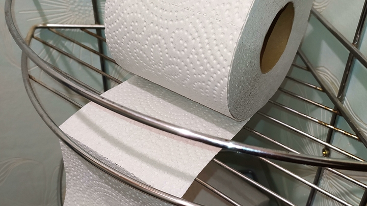 Туалетная экономика: Канадцы переходят на многоразовую туалетную бумагу вслед за британцами