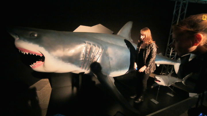 В океане поймали уникальную акулу. Учёные теряются в догадках