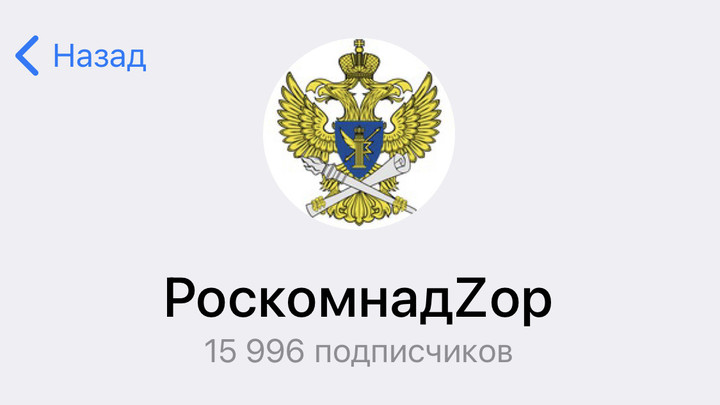 Роскомнадзор присоединился к всероссийской акции “Zа Мир”