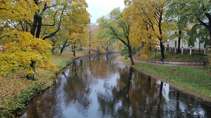 В Новосибирск ещё может вернуться бабье лето