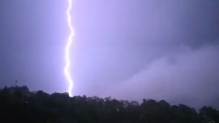 Русские своих не бросают: Сочинцы бросились спасать людей из машины, на которую рухнуло дерево