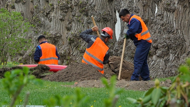 Приехали — поработали — спасибо — до свидания! Приехали — поработали — спасибо — до свидания!