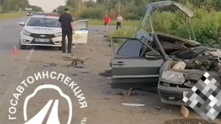 Обгон запрещён: под Челябинском погиб несовершеннолетний