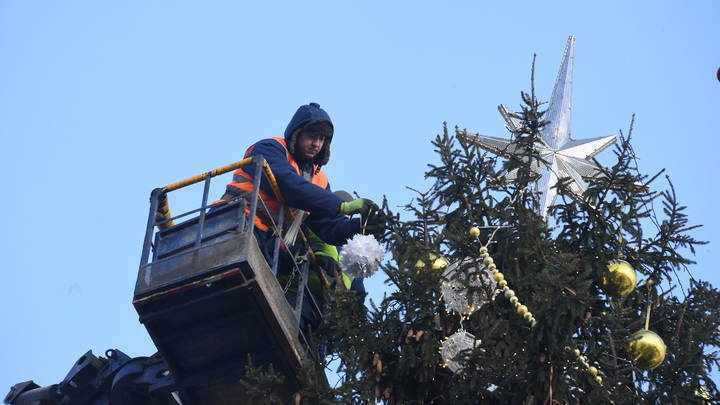 В Москву из Волоколамска едет главная новогодняя елка страны