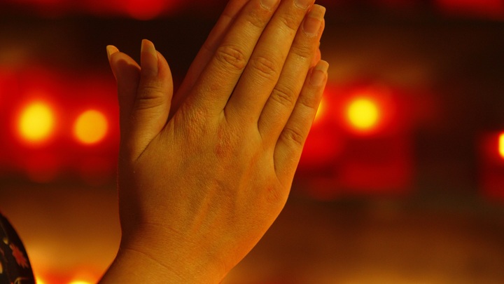 Секта друга Зеленского раскинула щупальца. Дотянулись даже до России