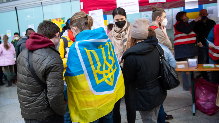 Пожалуйста, не приезжайте: Европейцы выявили главное качество беженцев с Украины. Хвалиться нечем