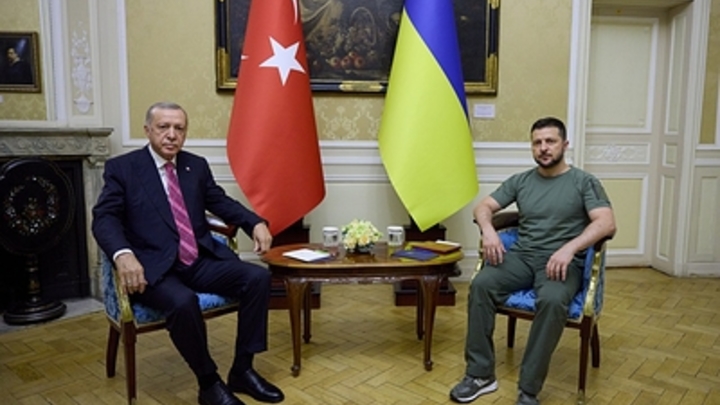 Эрдоган предложил Зеленскому завершить конфликт путем переговоров