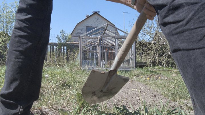 Отголоски прошлого: под Тосно нашли 1,5 тонны наркотиков. Фигуранты дела уже полгода под стражей