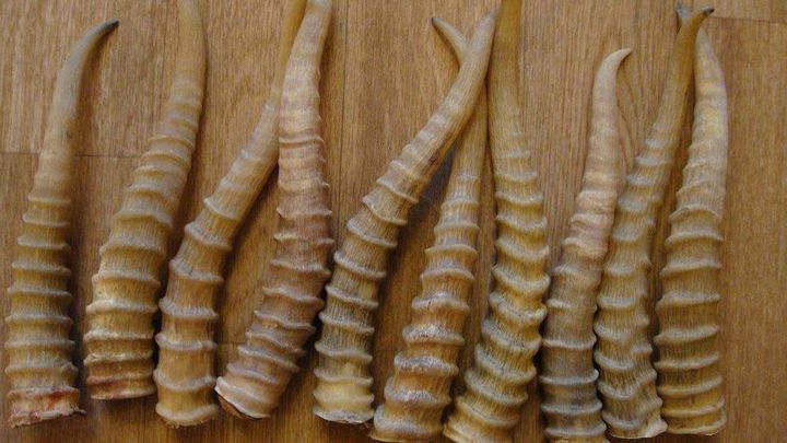 Забайкалец и чеченец получили условный срок за незаконный оборот дериватов