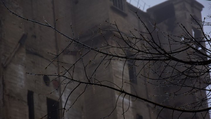 В Самарской области пойдут дожди, но будет тепло