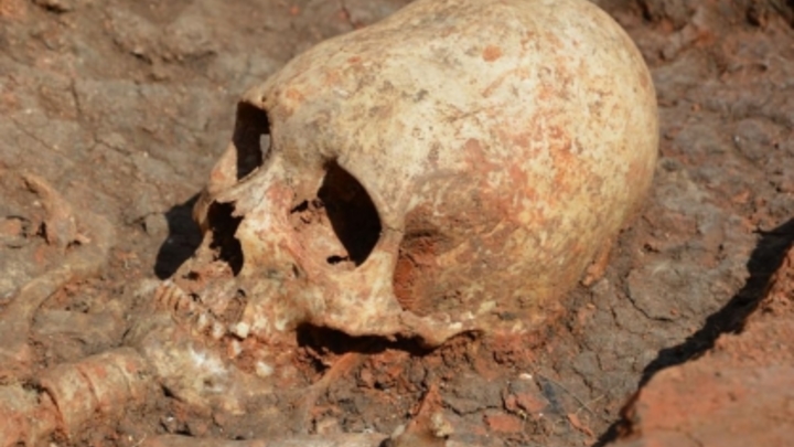 Копнули ковшом поглубже: в Карелии нашли останки 140 человек