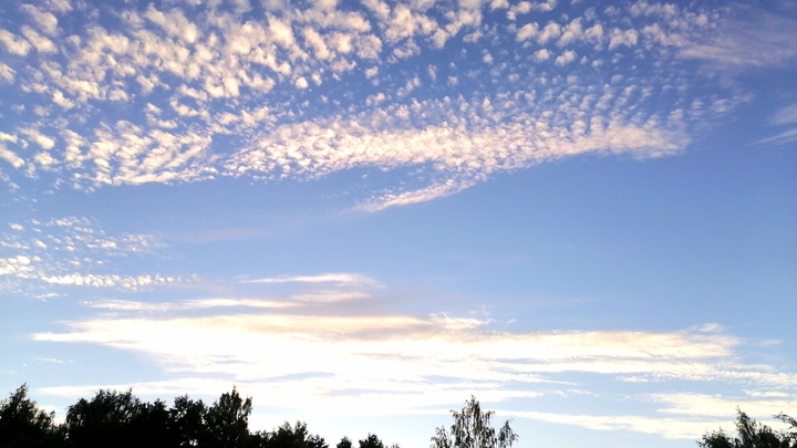 Погода в Ленинградской области на 24 июня 2022: жара в регионе