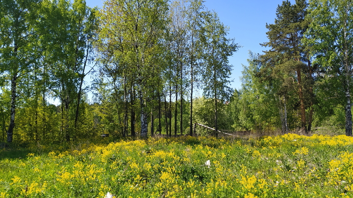 В Княгинине без вести пропавшую пенсионерку через 3 дня поисков нашли мёртвой за местной больницей