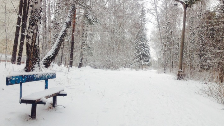 В Сибирь идут морозы до -52 градусов. Накроет ли волна холода Новосибирск?