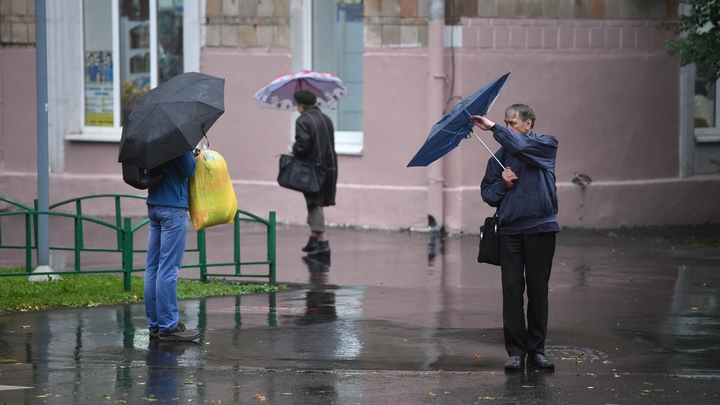 Спасатели предупредили о сильных осадках и ветре в Ленобласти