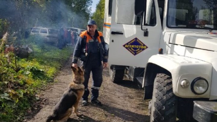 Еще два человека заблудились в лесу в Кузбассе