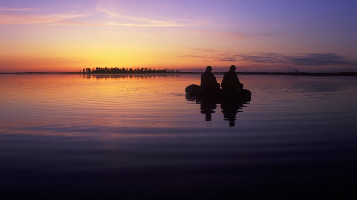 Кровавая вода: странная аномалия в Финском заливе озадачила экспертов