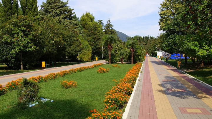 Сочинцы смогут выразить свое мнение: На Курорте выберут территории для благоустройства в 2022 году