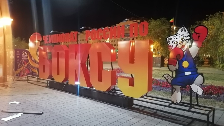 В Читу приедут призёры Олимпиады по боксу