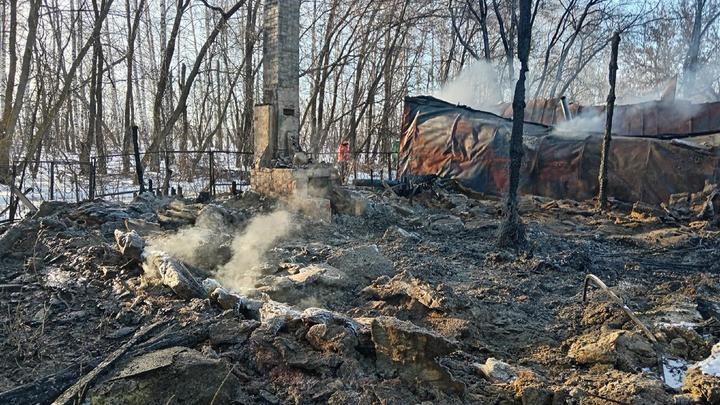 В Самарской области сгорел музей «Древний мир» с животными