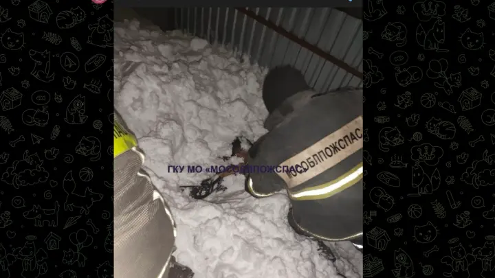 В Подмосковье людей спасают из-под завалов снега в собственных дворах