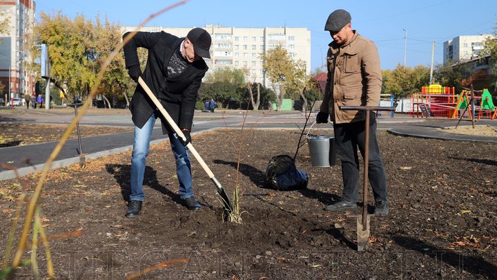В Кургане озеленили новый сквер на перекрестке трех улиц