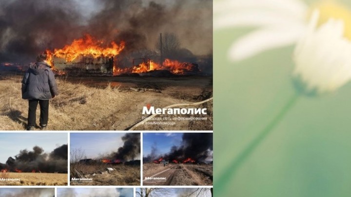 И вновь пожар! Десять участков в поселке Аннино сгорели из-за сухой травы