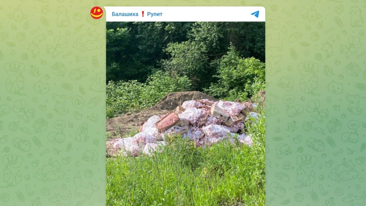 Кучу куриных костей выгрузили в Горенском лесу в Балашихе