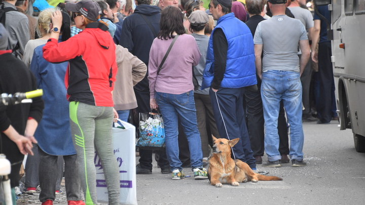 В Бердянске 8 февраля состоится выдача гуманитарной помощи