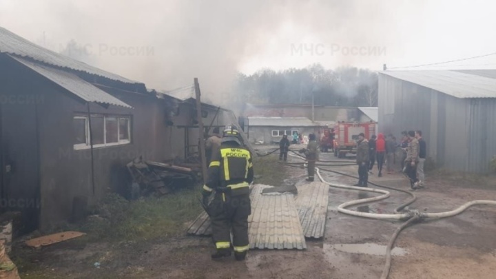 В Гусь-Хрустальном районе горели склад и цех по производству гипсовых игрушек
