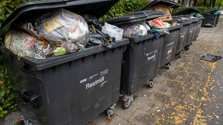 Не выбрасывайте эти предметы в мусорный бак, если не хотите платить до 500 000 рублей