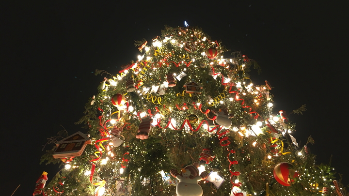 Единая Россия передаст письма от юных запорожцев Деду Морозу