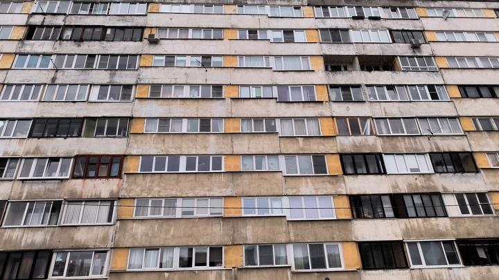В Сибири восемь детей нашли в квартире без еды, но с головой коровы и пьяными посторонними
