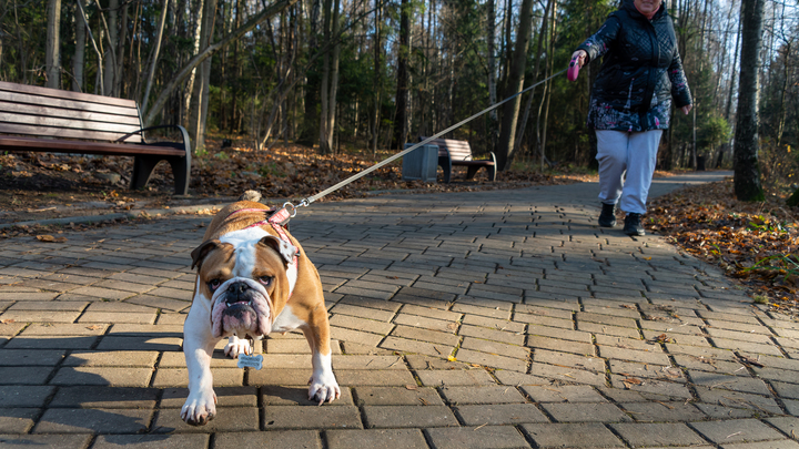 Погода в Краснодарском крае на 13-14 ноября: температура воздуха прогреется до +17