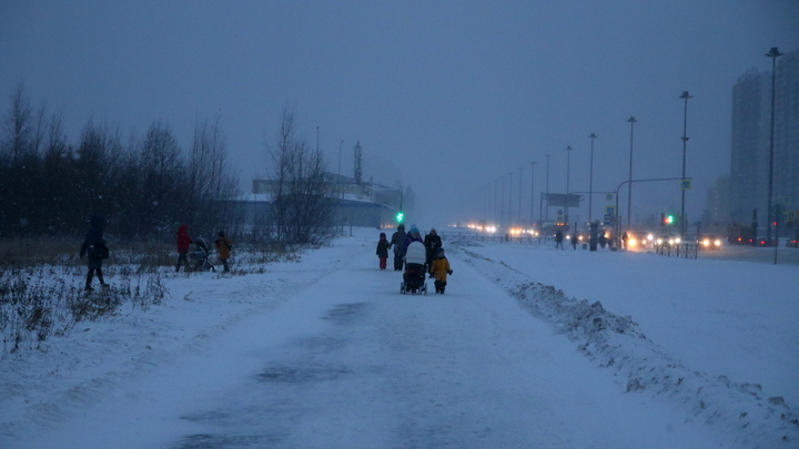 Петербургская зима стала испытанием на прочность: Что взбесило иностранцев?