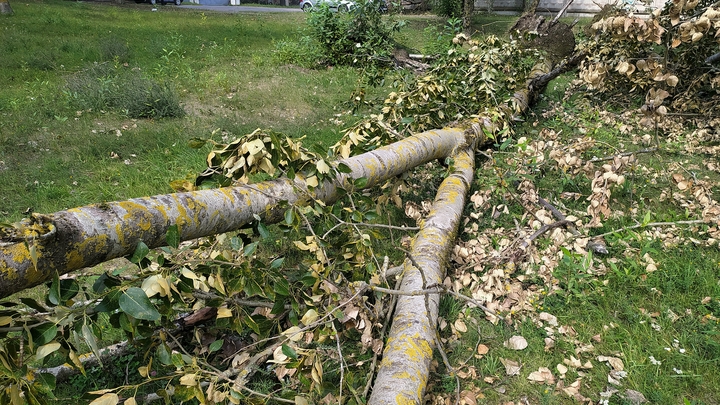 Торнадоопасная ситуация объявлена в Пермском крае Торнадоопасная ситуация объявлена в Пермском крае