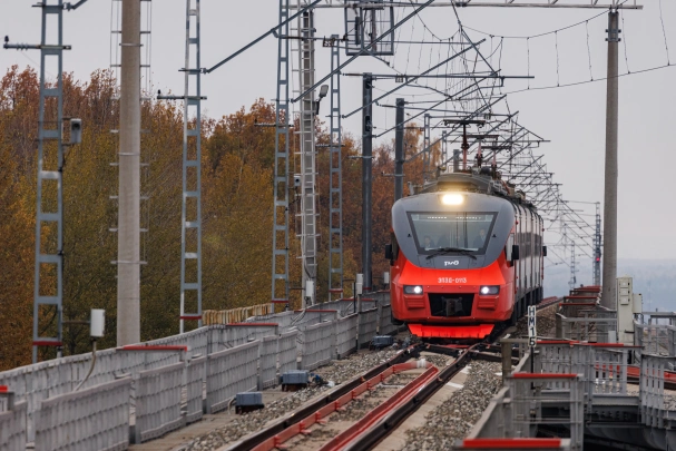 Жители Дзержинска пожаловались на злых, как собаки контролёров