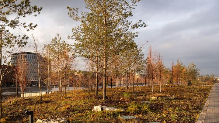 Фото: www.mos.ru. 