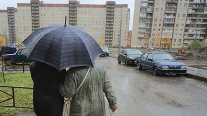 Два дня непогоды: в Петербурге: МЧС объявило желтый уровень опасности