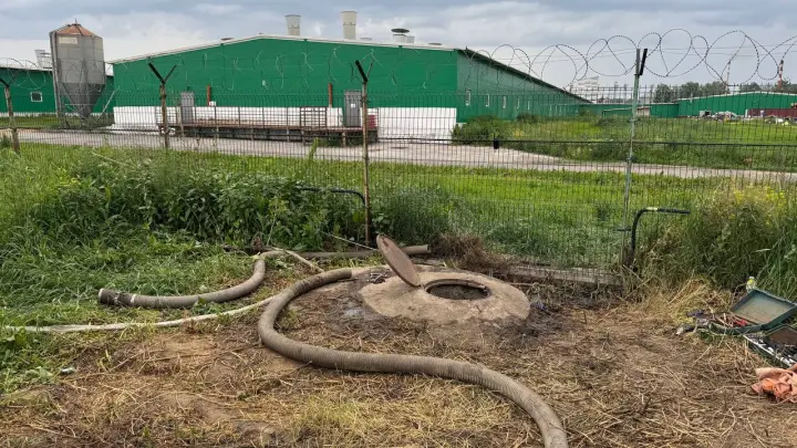 Трое работников погибли на свинокомплексе в Красноярском крае