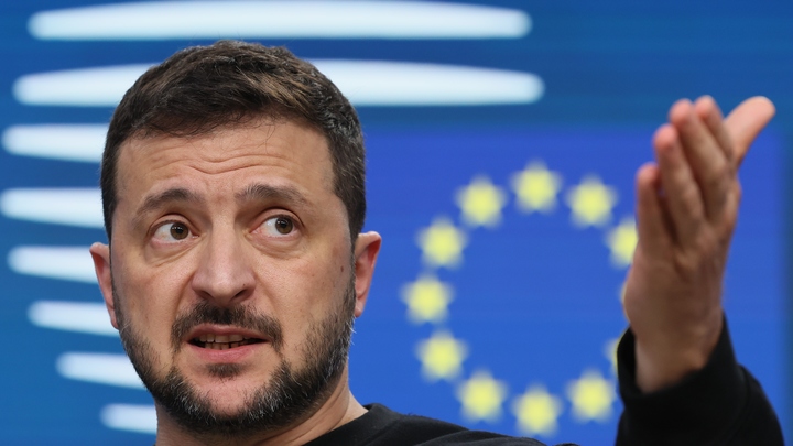 Президент Литвы назвал план победы Зеленского несерьёзным: Я не вижу