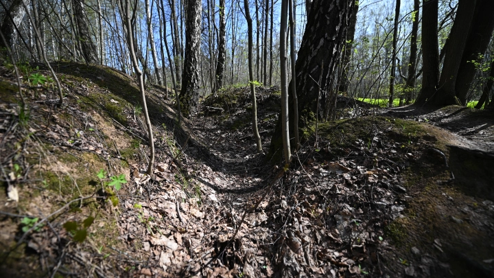 Спилили бензопилой, и он упал с высоты: Террорист из Крокуса пожаловался на грубое задержание