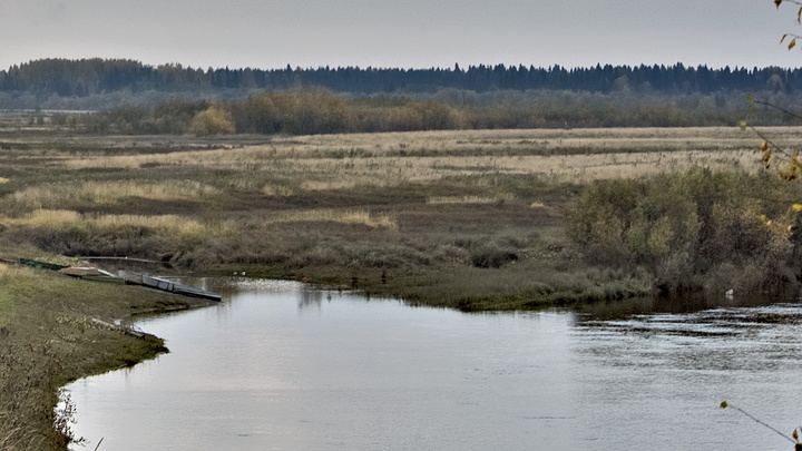 Подробности ЧП с разливом нефти: Жителей призвали не брать воду из реки Колвы