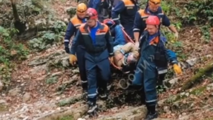 В Сочи спасатели вынесли на носилках из леса грибника с травмой ноги