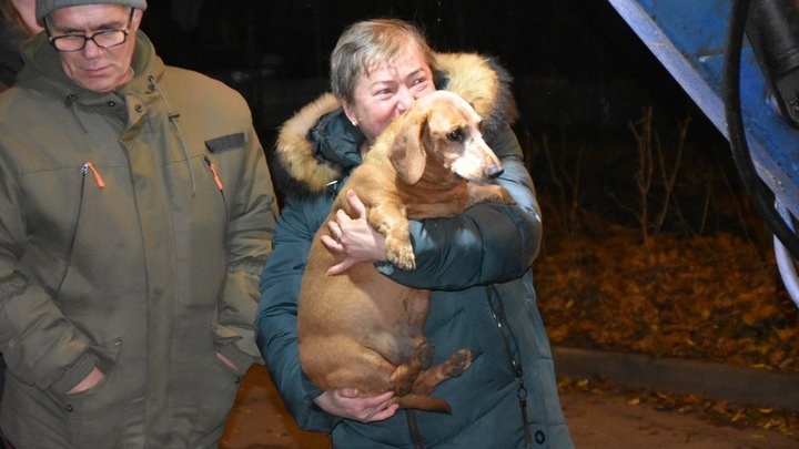 В Подольске спасли застрявшую в канализационном люке пожилую таксу