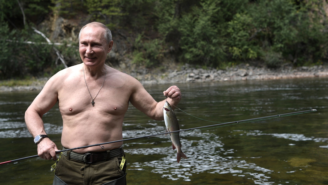 Охота Путина на щуку вызвала фурор в соцсетях Охота Путина на щуку вызвала фурор в соцсетях