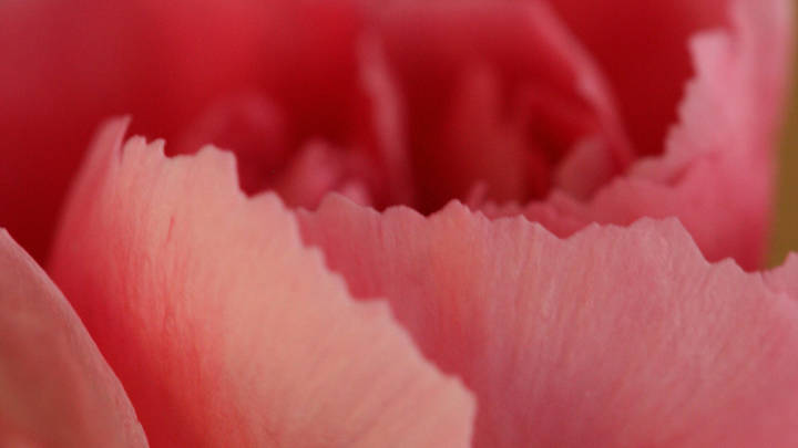 Погибшую при подрыве Крымского моста хоронят спустя месяц